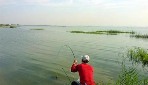 野钓中提升鱼获的4个技巧