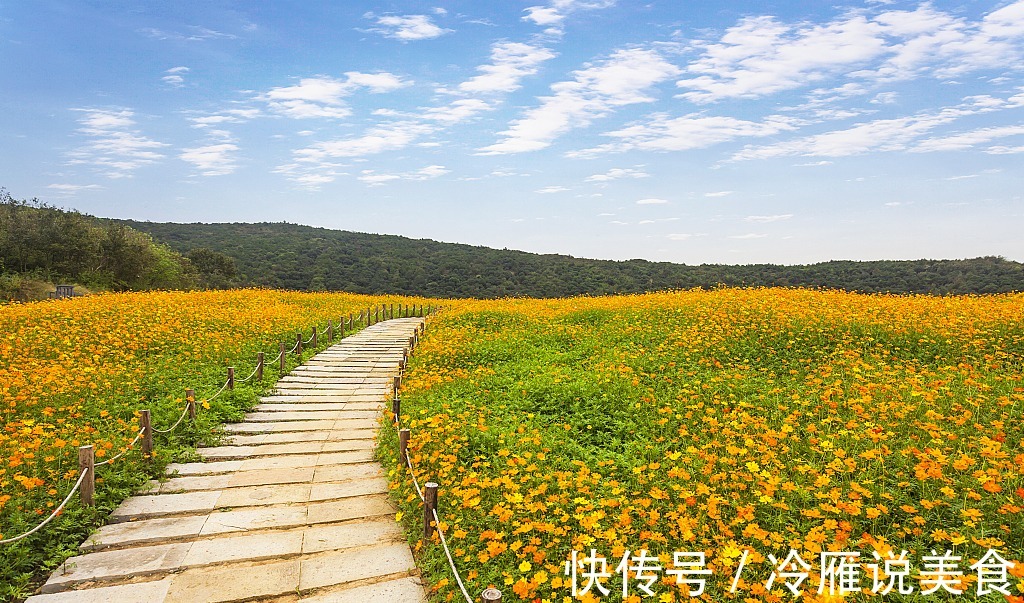 羊们|生肖羊出生在这几个月，贵人相助事业顺利，财运蒸蒸日上家庭和睦