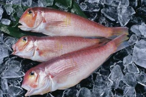 种鱼|宝宝吃鱼更聪明这7种鱼，一口都不能给宝宝吃