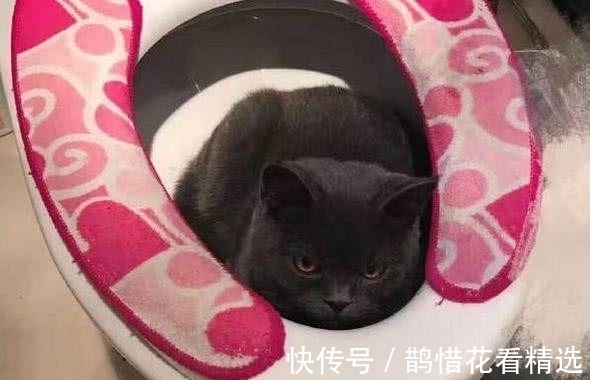 |幽默笑话:昨天我上班的时候,一份重要的文件忘在了家里……