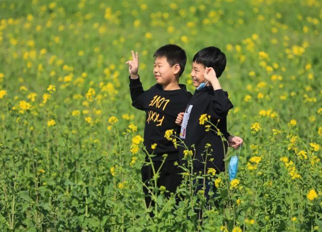 实拍，实拍，4月3日狼牙山万亩花海实拍来啦！