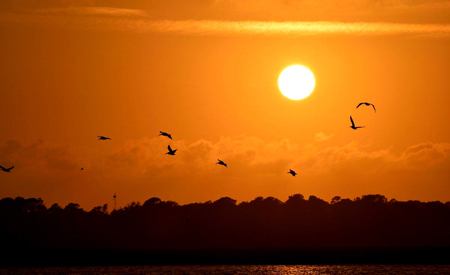 放纵容易自律难,人生的成功从自律开始