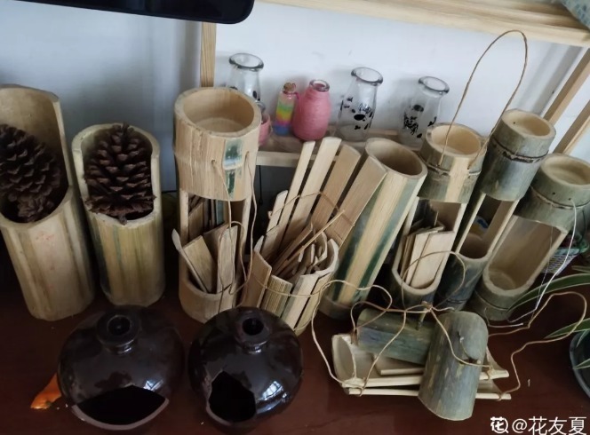 diy|别人不要的烂木桩,我捡回家种多肉,价值翻了20倍!