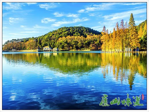 芦林湖|庐山景区：秋山如醉庐山芦林湖畔枫林染秋颜