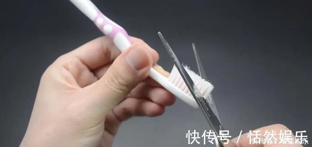 厨房|废旧牙刷剪短一半,放在厨房特别实用,一年能省几百元,涨知识了