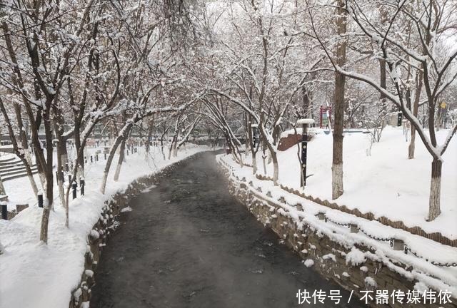 玉树琼花|玉树琼花，如梦如幻，乌鲁木齐这个公园冬天如人间仙境