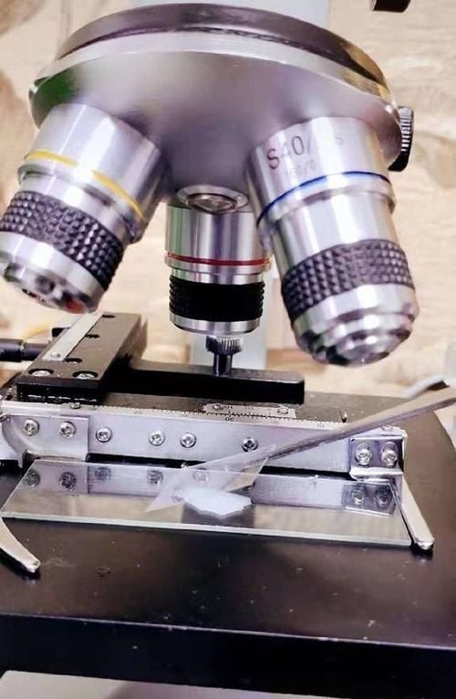 养育|母乳在显微镜下被放大1000倍,却毫无杂质,母乳养育的孩子更健康