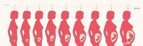 早产儿|总是听说孕妇需要经历怀胎十月,那胎儿一般在多少周会出生呢?