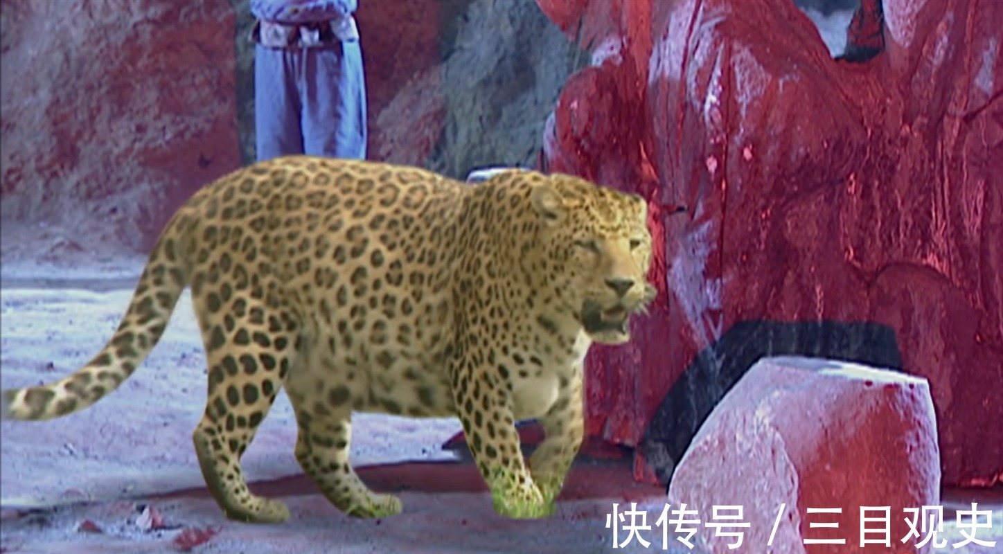 小妖@西游记中的金钱豹究竟啥来头,他真的腰缠万贯,让人吃喝不愁吗?