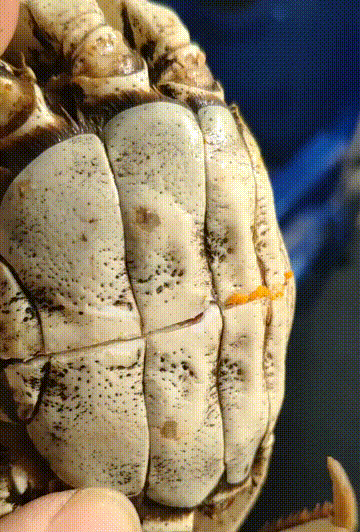 |搞笑GIF:对,不犯法,快用钱砸昏我吧