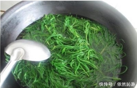你可能连见都没见过的皇席菜，它含有18种对人体有用的有益菌！