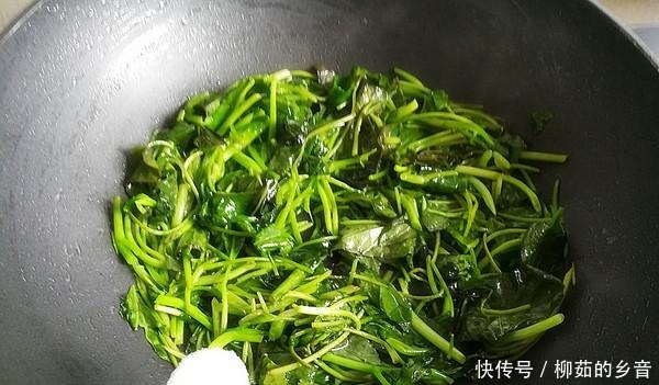 金雞納霜|這菜是身邊“小鈣王”，夏季吃它消暑解熱開胃，一定要早點知道！