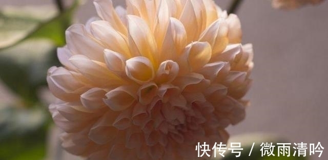 星座|未来15天，天降大喜，桃花滚滚来，邂逅真爱的4大星座