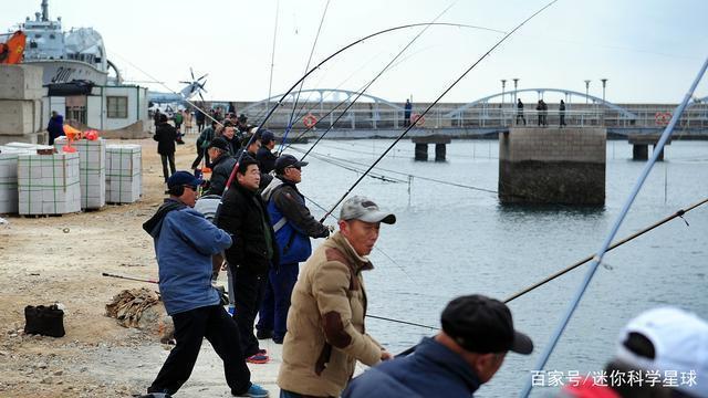 无灵魂的可视锚鱼这不是钓鱼,而是水下猎杀,被多地禁用