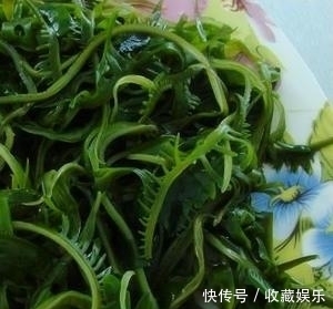  甲状腺|立冬后，不妨多用香菇炒此菜，孩子身高蹭蹭长，记忆力也提高了