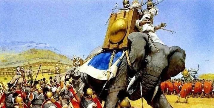 阿富汗人|波斯帝国晚期与印度的一场战争,印度派出大象兵,波斯放出骆驼兵