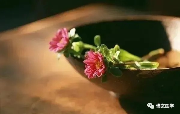 告状!红尘世事,才是最好的人生磨炼(醒脑好文)