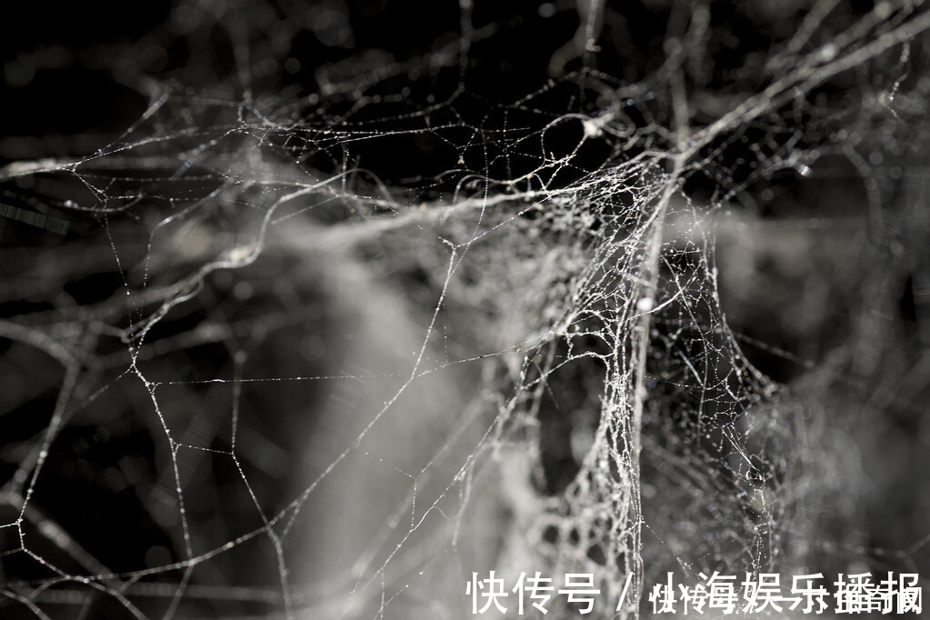毛发|刚打扫完室内卫生，就又出现了尘絮，这些灰尘是怎么凭空出现的？
