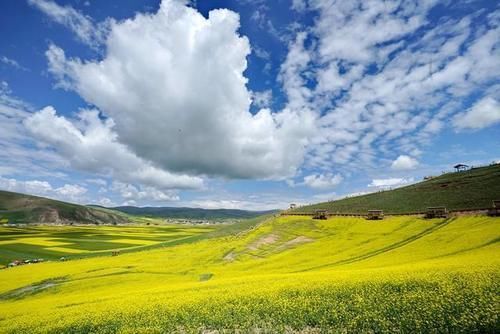 只此|中国称百里画廊地方很多，但敢称百里油菜花海只此一地，绝非虚名