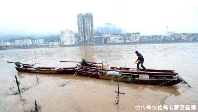 养殖场|珠江入水口,洪水冲来大量“食人鲳”,牙齿尖锐,三五斤一条