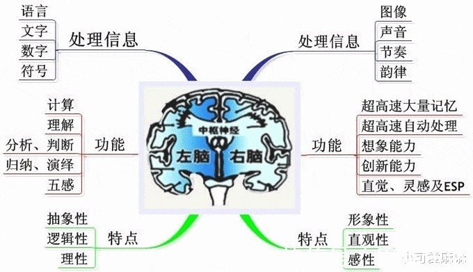 发明家|孩子有这3种特征,说明右脑很发达,好好培养可能成为“发明家”
