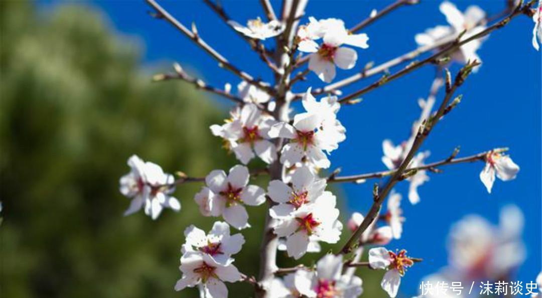 忧愁|王勃最忧愁的一首诗,每一句都感人至深,通篇无一字不忧愁