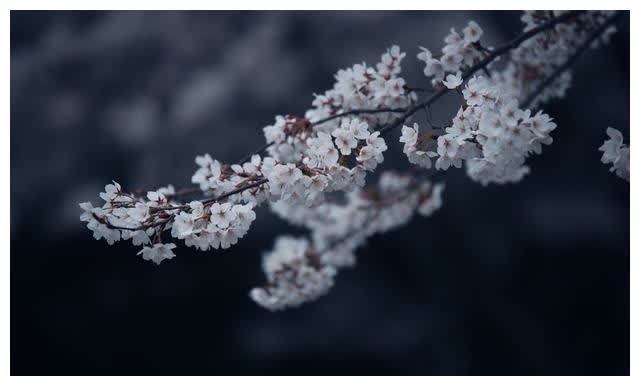 接纳!《论语》:改变命运,从学会接纳开始