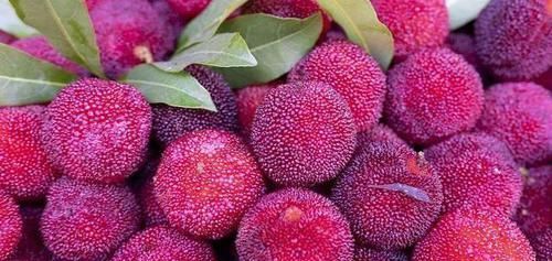 最伤身的“蔬果”有哪些?趁早管住嘴,别任性妄为