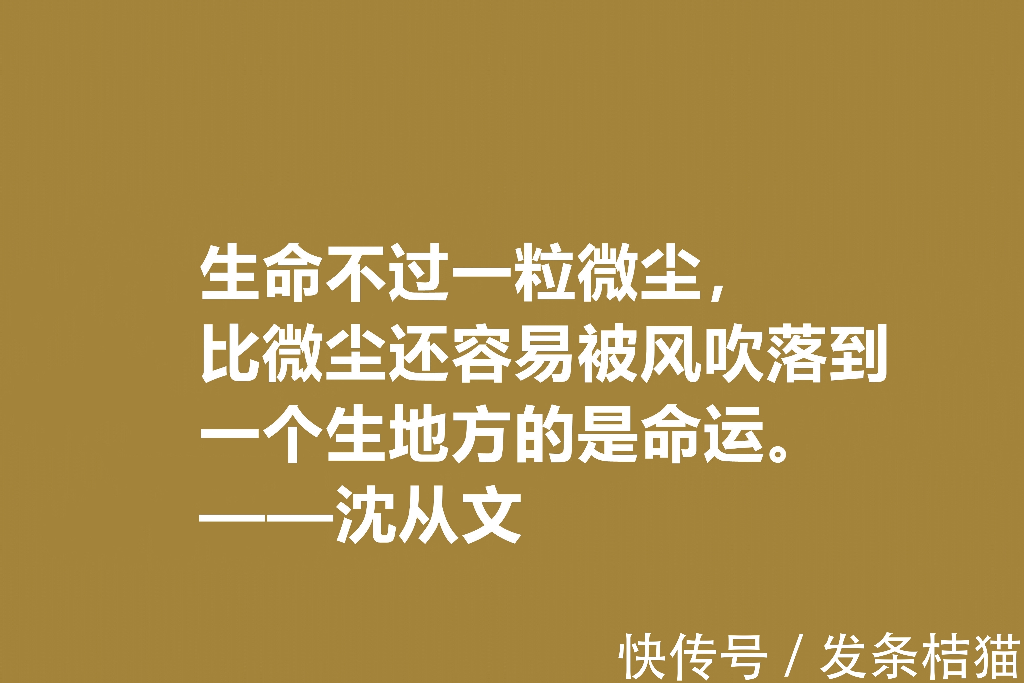 小说$深爱沈从文的小说，细品他十句格言，文化底蕴深厚，凸显其人生观