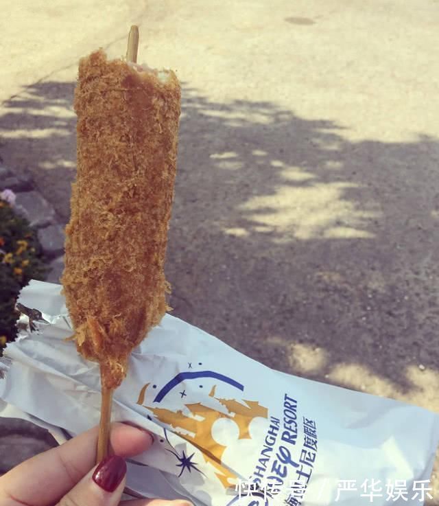太贵|迪士尼贵到不敢吃的四道食物,鸡腿不算啥,一听图四价格打扰了