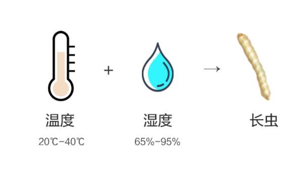 一文讲清：米面生虫了怎么办？还能不能吃？