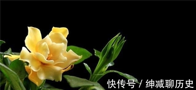 为人处世#内心强大的人,为人处世时,往往遵循这四条法则