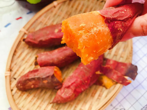 黄瓤红薯|不论男女,每天早上吃点它,营养美味,不比牛奶差,身体更健康!