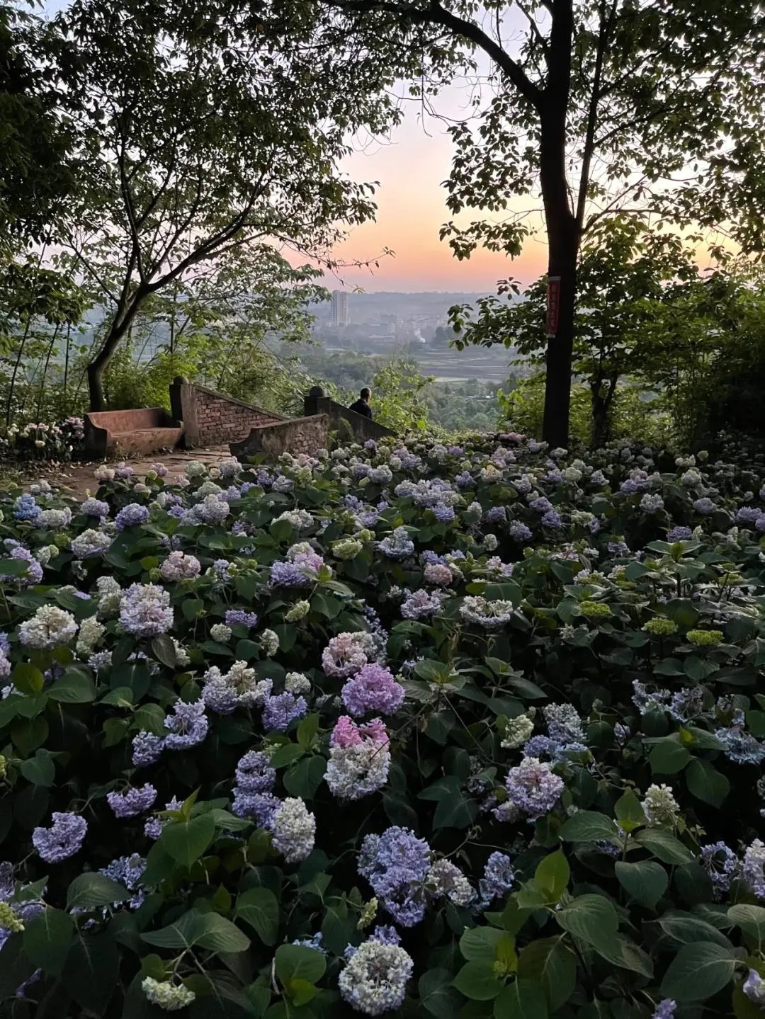 荣昌这些景区，你一定不能错过!|城市漫游 | 文化广场