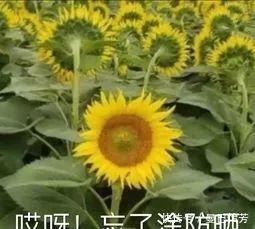 小白必看の护肤步骤