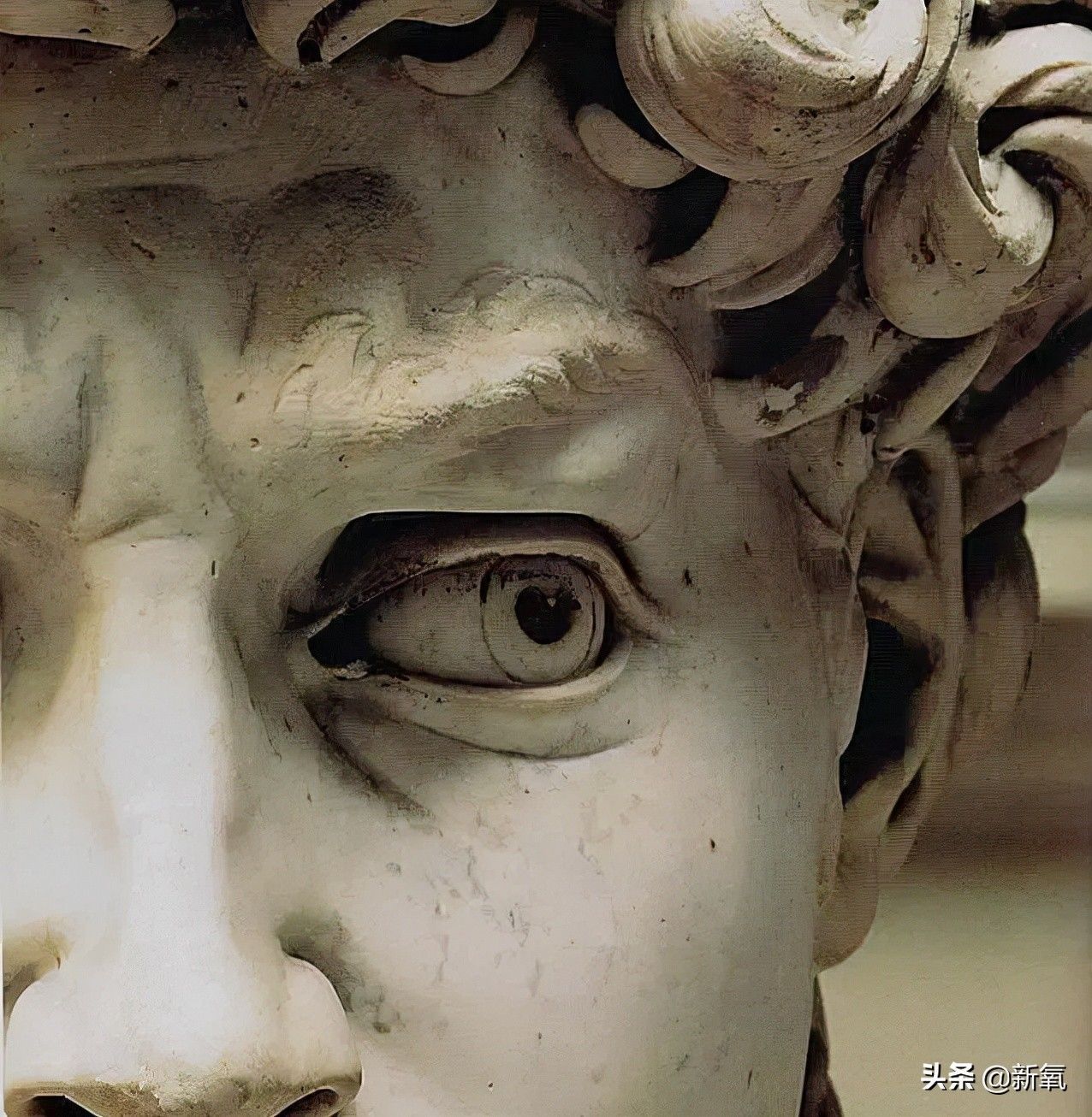 达芬奇$从阿佳妮的脸,看文艺复兴时期的人文主义之美