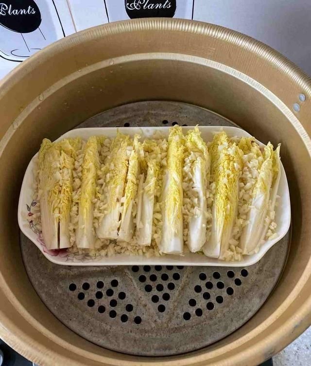 白菜|日本人每天必吃的“长寿菜”,我国产量大却很少吃,钙量比牛奶高