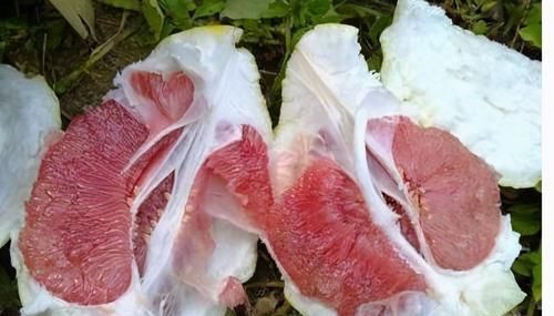 会吃的人更健康,3种食物换着来,排毒养颜,滋润肌肤!