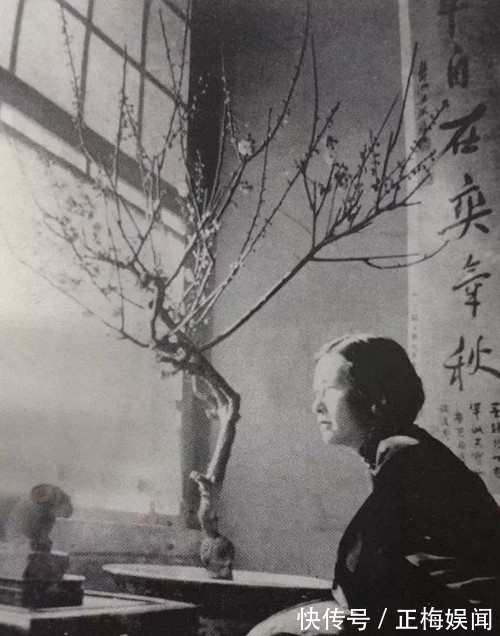 陆小曼|张充和眼中的林徽因:喜欢当焦点,只要她在,别人都没有发言机会