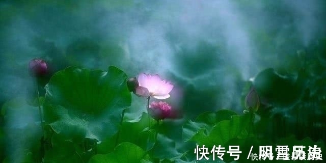 功成!老子:悟道的人,无论做什么事,始终守住这条天规