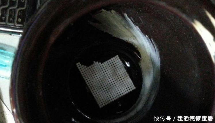 花盆里加点这个,不烂根不黄叶,轻松养满盆