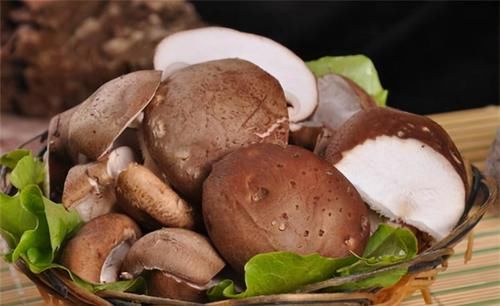 含有|女性不想顯老，不妨多吃3食物，延緩衰老，肌膚細膩，早食早受益