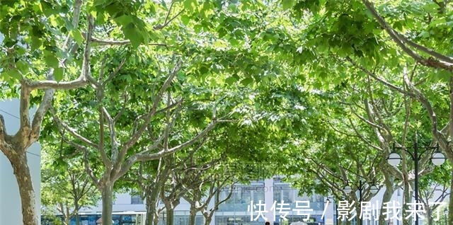 校服 校园“攀比风”盛行,身穿统一平价校服,却踩着天价名牌球鞋!