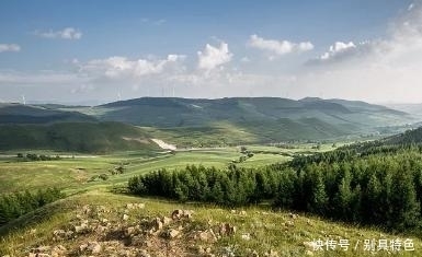 打砸|苹果公司在印度被打砸烧,员工因为薪资下降拖欠而不满!