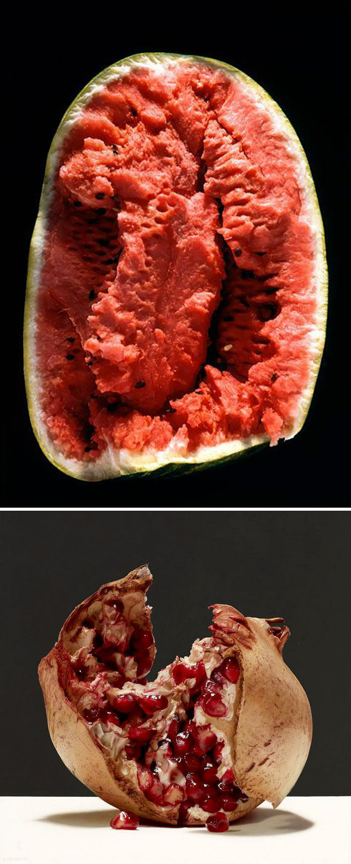 手艺&乍一看是照片！60张“欺骗”眼睛的绘画，有这手艺还要相机干什么