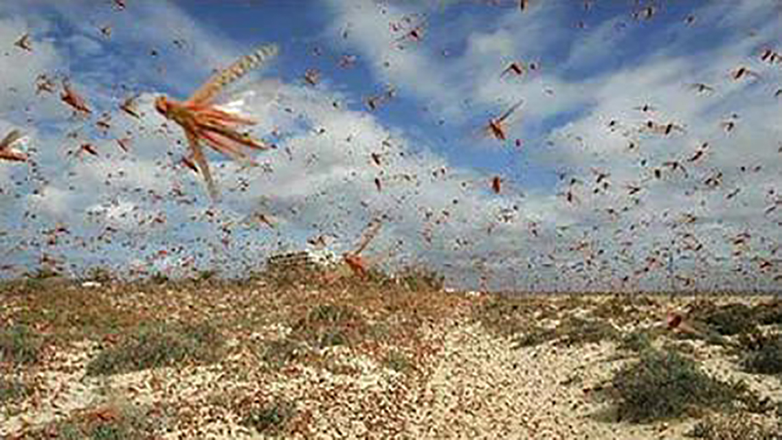 范仲淹@被苏轼称赞,与范仲淹结亲,"三槐王氏"为何能在北宋兴盛壮大?
