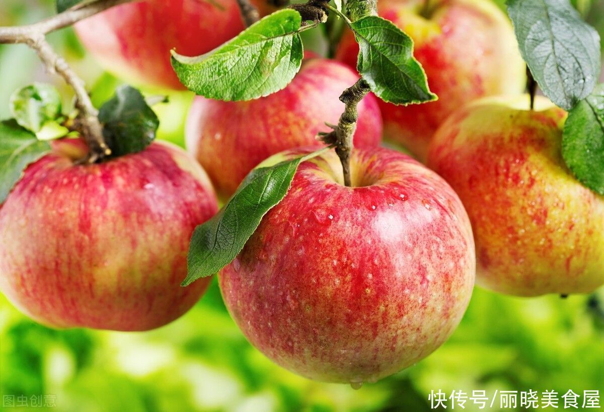 入秋后,不管有钱没钱,这5种碱性水果常吃,尤其第3种,错过可惜
