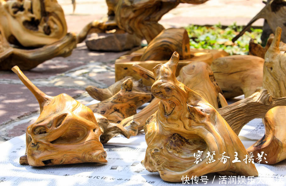 太行山下的遍地“崖柏”,不知到底有多少是真正出自太行山的呢