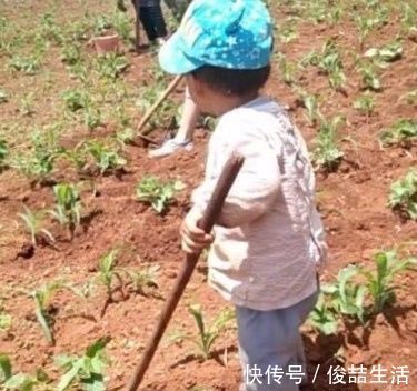 除草|3岁儿子去农村爷爷家，居然学会了除草，爸爸乐得哈哈大笑