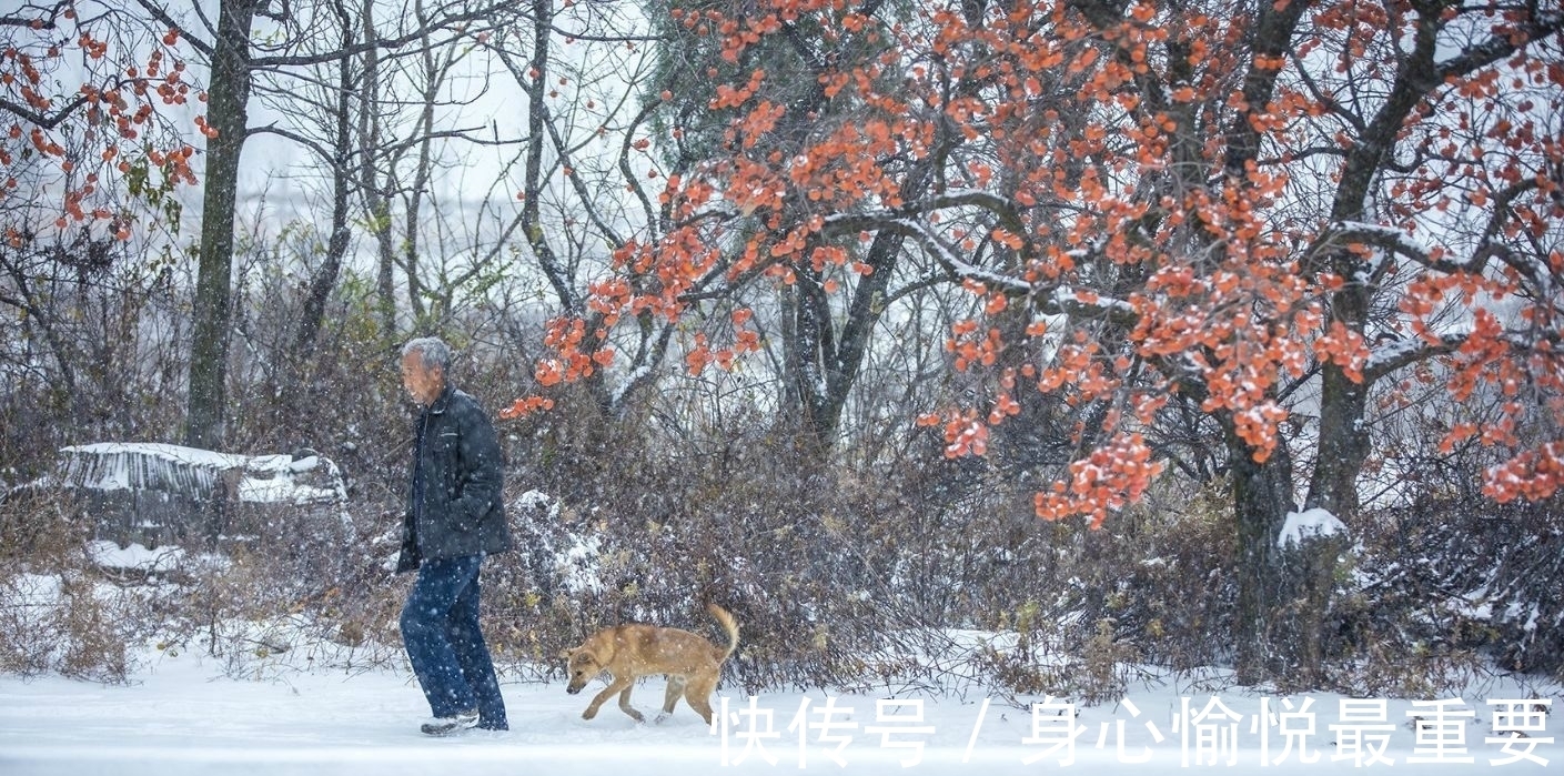 大雪#元代诗人一首咏雪七律，风竹云松银凤玉龙，浪漫主义情调让人心动